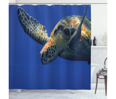 Sea Animal Swimming Shower Curtain