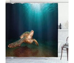 Green Turtle Sunbeam Shower Curtain