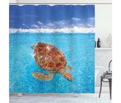 Chelonia Water Surface Shower Curtain