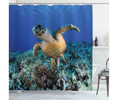 Cheloniidae Deep Ocean Shower Curtain