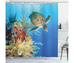 Exotic Turtle Coral Shower Curtain