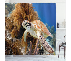 Tropic Waters Coral Reef Shower Curtain