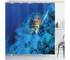 Oceanic Wildlife Shower Curtain