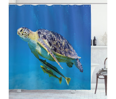 Fishes Swimming Ocean Shower Curtain