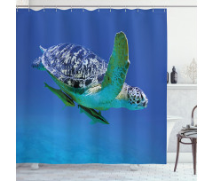 Tropics Turtle Aquarium Shower Curtain