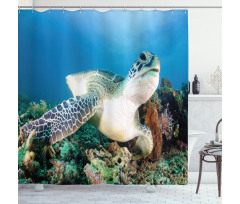 Green Turtle Coral Shower Curtain