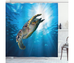 Sea Turtle Diving Shower Curtain