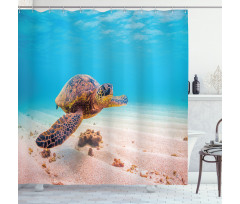Sea Turtle Underwater Shower Curtain