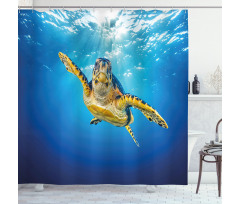 Blue Waters Swimming Shower Curtain