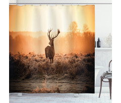 Deer Morning Sun Shower Curtain