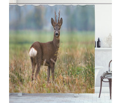 Deer Wildlife Shower Curtain