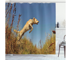 Purebred Labrador Shower Curtain