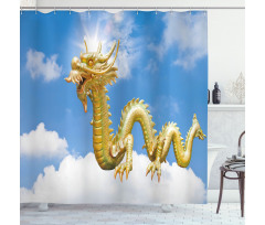Cultural Chinese Shower Curtain
