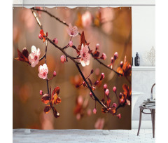 Sakura Flourishing Shower Curtain