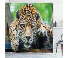 Jaguar Wildcat Feline Shower Curtain