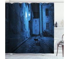 Black Cat Deserted Street Shower Curtain