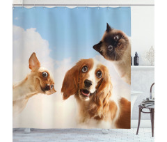 Cats Dogs in Sky Clouds Shower Curtain