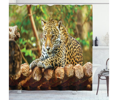Jaguar on Wood Wild Feline Shower Curtain