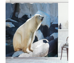 Polar Bear in Park Rocks Shower Curtain