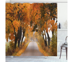 Serene Vivid Maple Trees Shower Curtain
