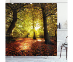 Blurry Forest Dreamy View Shower Curtain