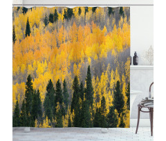Colorful Aspen Trees USA Shower Curtain