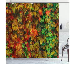 Colorful Leafage Vivid Shower Curtain