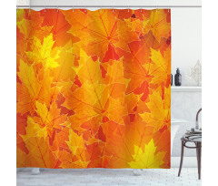 Maple Botany Foliage Leaf Shower Curtain