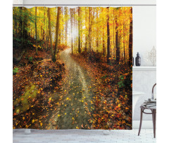 Early Morning in Woodland Shower Curtain