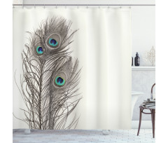 Feathers of Exotic Bird Shower Curtain