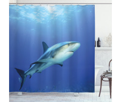 Exotic Dreamy Ocean Life Shower Curtain