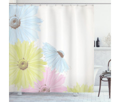 Colorful Gerbera Daisies Shower Curtain
