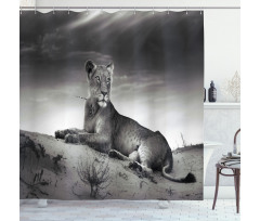 Wild Lioness Shower Curtain