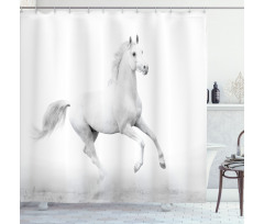 White Stallion Shower Curtain