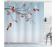 Bullfinch Birds Branches Shower Curtain