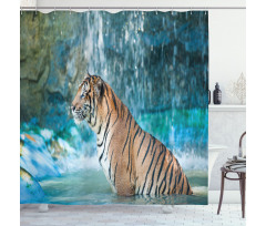 Feline Animal in Pond Shower Curtain