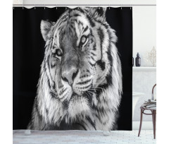 Intense Gaze of Hunter Shower Curtain