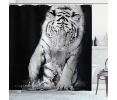 Large Cat Plays in Water Shower Curtain