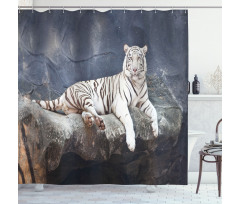 Wildlife Cat on the Rock Shower Curtain