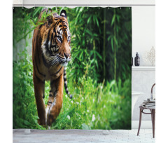 Siberian Wild Cat Habitat Shower Curtain