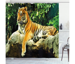 Big Cat Resting in Forest Shower Curtain