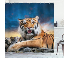 Calm Wild Animal Sunset Shower Curtain
