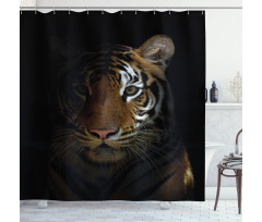 King of Sundarbans Shower Curtain