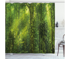 Tranquil Exotic Place Shower Curtain