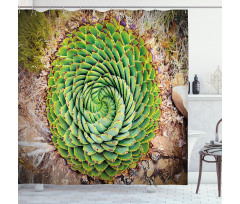 Aloe Polyphylla Vera Shower Curtain