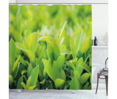 Lush Green Leaves Shower Curtain