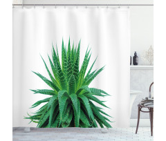 Vibrant Aloe Vera Shower Curtain