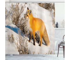 Red Fox in Snowy Nature Shower Curtain