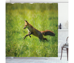 Jumping Animal Fresh Grass Shower Curtain