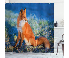 Serene Cold Autumn Field Shower Curtain